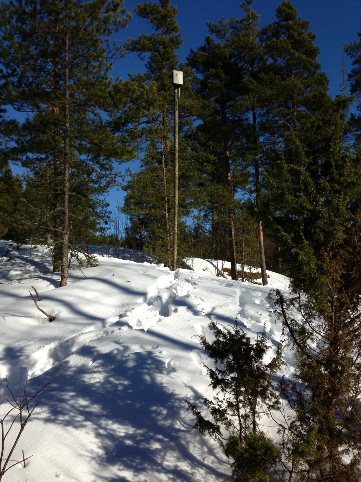 System 75: Single Tube Mast