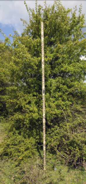 System IAM 3.5m SQUAD deployed — multicam pattern close-up