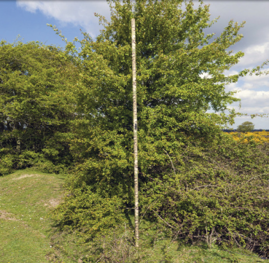 System IAM 3.5m SQUAD NL deployed against tree line